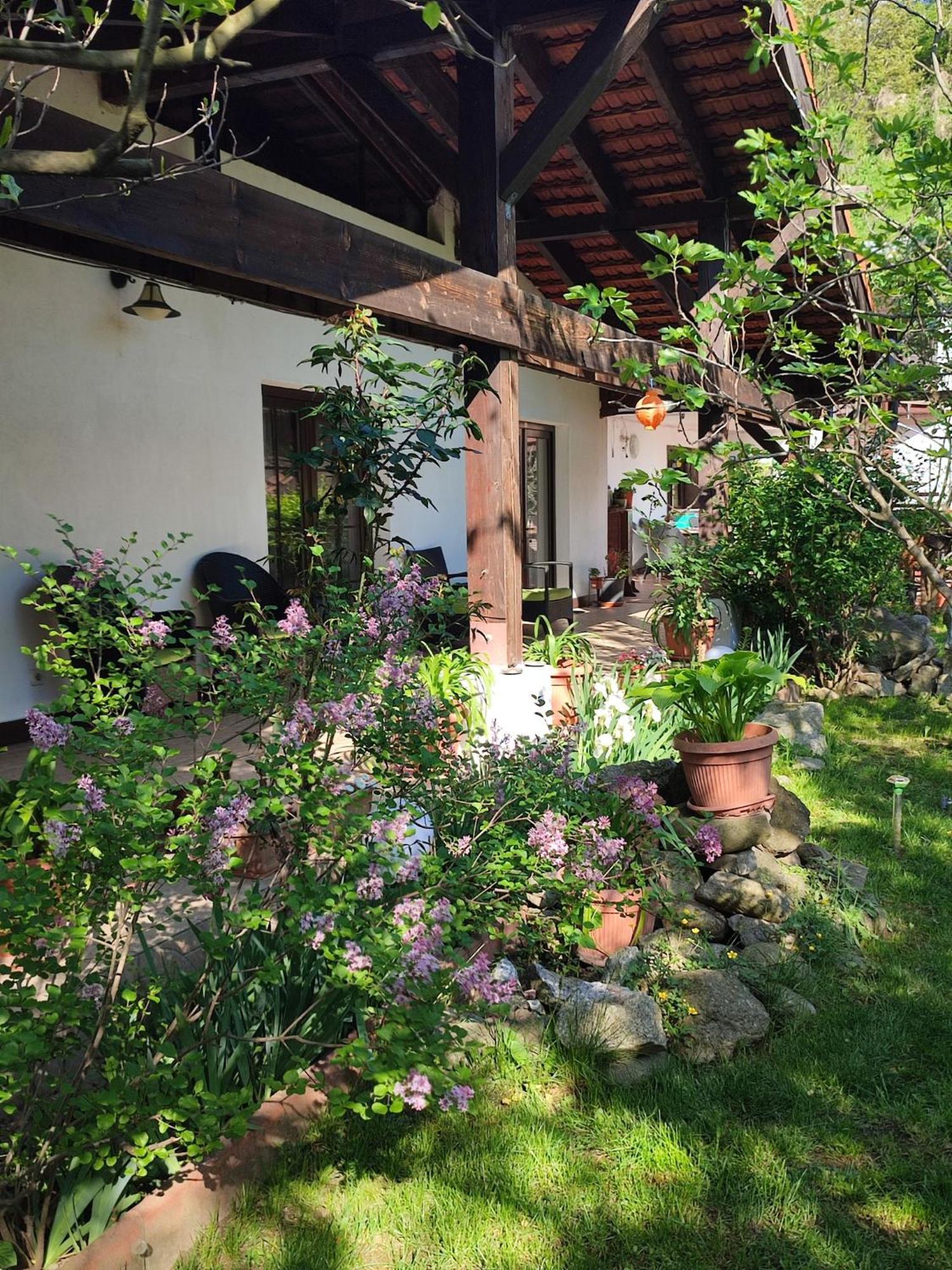 Pensiunea La Dolce Vita Băile Herculane Extérieur photo
