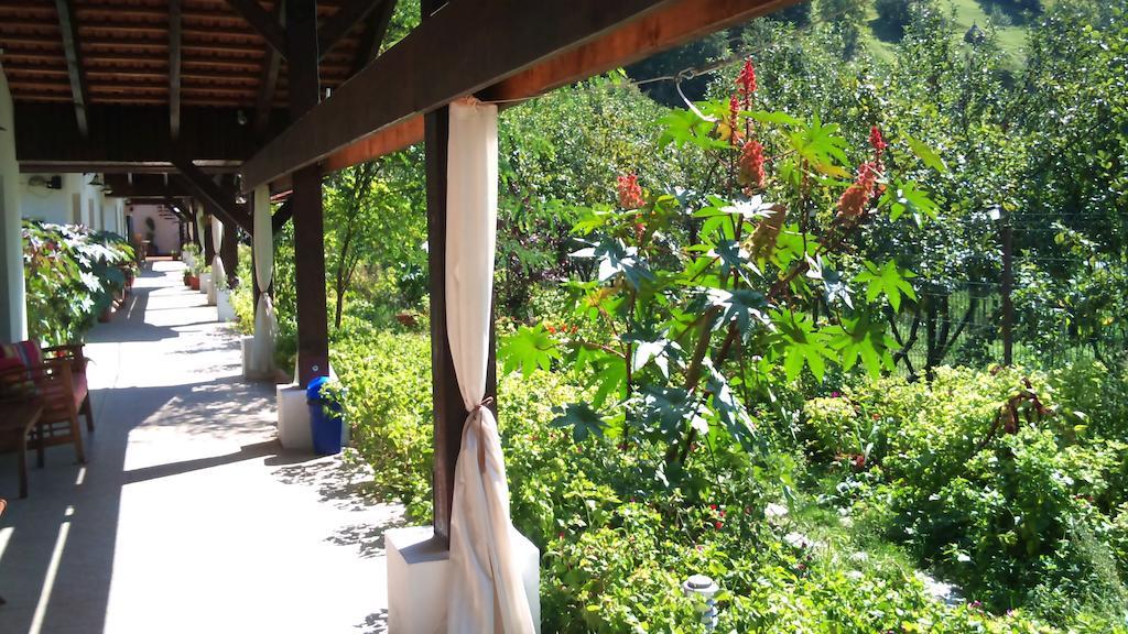 Pensiunea La Dolce Vita Băile Herculane Extérieur photo