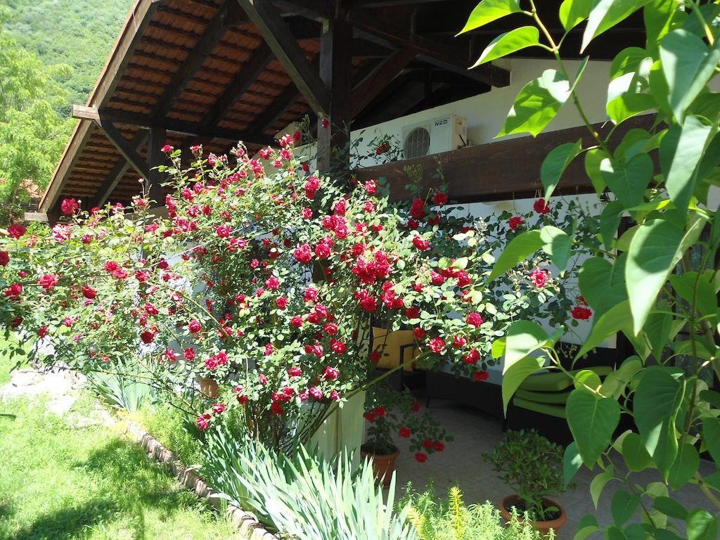 Pensiunea La Dolce Vita Băile Herculane Extérieur photo